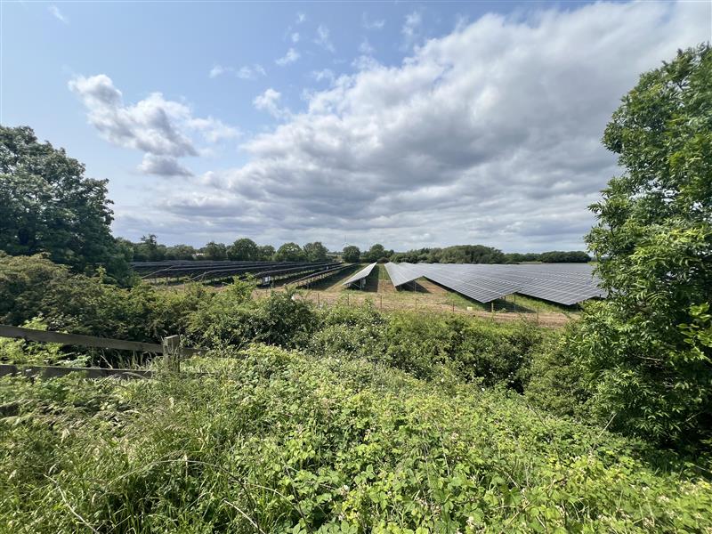 Chestnut Solar Farm